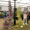 First OV wins high prize at world’s most prestigious floral competition​