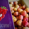 Vietnam seeks to expand overseas markets for lychees, longans