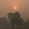 Indonesia works to prevent haze from spreading to Singapore