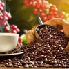 Vietnam’s coffee exports hoped to earn over 4 billion USD this year