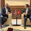 Vietnam looks to reinforce ties with UK, Hong Kong, Lithuania