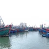 Khanh Hoa takes drastic measures against IUU fishing