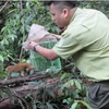 UN project to combat zoonotic disease risks from wildlife kicks off in Vietnam