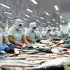Fisheries businesses face tough year in 2023