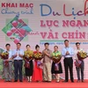 Bac Giang kick starts tourism promotion programme in lychee harvest season