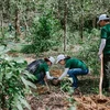 Nestlé collaborates with partners to advance regenerative agriculture in Vietnam