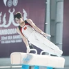 Int’l Federation of Gymnastics to help Vietnamese gymnasts reach new heights
