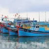 Deputy PM requires strict sanction of IUU fishing acts