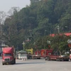 Border gates in Lang Son province maintain regular operations
