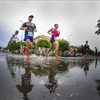 Over 9,000 runners join Vietcombank Mekong Delta Marathon Hau Giang 2023