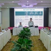 Climate change adaptation projects in Mekong Delta accelerated