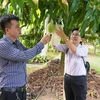 Dong Thap province develops agricultural tourism