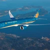 Vietnam Airlines plane makes emergency landing to save French passenger