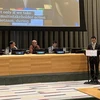 Vietnam maintains responsible contributions to SDG implementation: ambassador