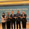 Indonesia promotes East ASEAN-RoK cooperation