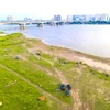 Hong River’s mudflats to become green parks and tourism spots