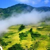 Vietnamese destinations continue earning int’l recognition
