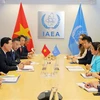 IAEA impressed by Vietnam’s capabilities, engagement: Acting Director General