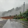Four missing in Lam Dong landslide