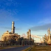 Nghi Son refinery's maintenance leads firms to import petroleum products