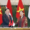 Indonesia's media highlight close ties with Vietnam