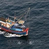 Localities urged to take drastic measures against IUU fishing