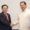 Top legislator meets Philippine lower house speaker in Jakarta