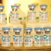 Vietnam’s African swine fever vaccine export makes headlines in RoK