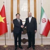 Vietnam treasures friendship, multifaceted ties with Iran: NA Chairman