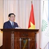 Top legislator highlights Vietnam-Iran cooperation for peace, development