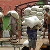 Myanmar eyes to increase rice exports in coming months