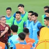 Vietnam, Palestine to play friendly match in September