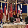 Vietnam nominates candidate as WHO Regional Director for the Western Pacific