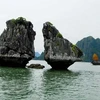 Conservation of Ha Long Bay iconic rocks to comply with world convention: Authority