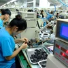 UNDP official applauds Vietnam’s economic, social security, climate moves