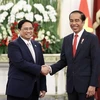 Vietnam, Indonesia eye comprehensive strategic partnership