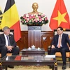 Foreign Minister receives leader of Belgium's Flanders region