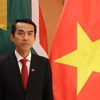 Vietnam, South Africa develop substantive, fruitful relations: ambassador