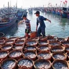 Binh Thuan strictly deals IUU fishing-related violations
