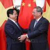 Vietnamese, Chinese PMs hold talks 