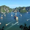 Ha Long Bay-Cat Ba Archipelago recognised as world natural heritage