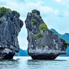 Ha Long Bay works hard to ease landslide risk on limestone islands