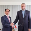 Vietnamese FM meets with Iranian, Mexican counterparts in New York