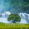 Ban Gioc Waterfall Tourism Festival 2023 opens