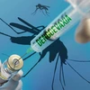 Vietnam to join Japanese dengue vaccine trials