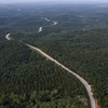 Indonesia tightens forest land management 