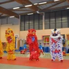 Vietnam promotes lion-dragon dance to the world