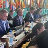 Vietnam attends Ministerial Conference of La Francophonie in Cameroon 
