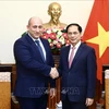 Vietnam treasures traditional friendship, cooperation with Georgia: FM