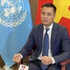 Vietnam accompanies UN to support Cuba's sustainable development: Ambassador